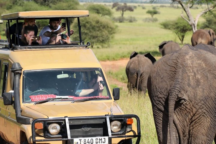 Dar es Salaam: 1-Day Mikumi National Park Safari with Free Pickup
