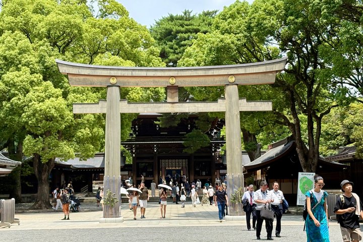 Tokyo Private Half-Day Highlights Tour by Car with Guide
