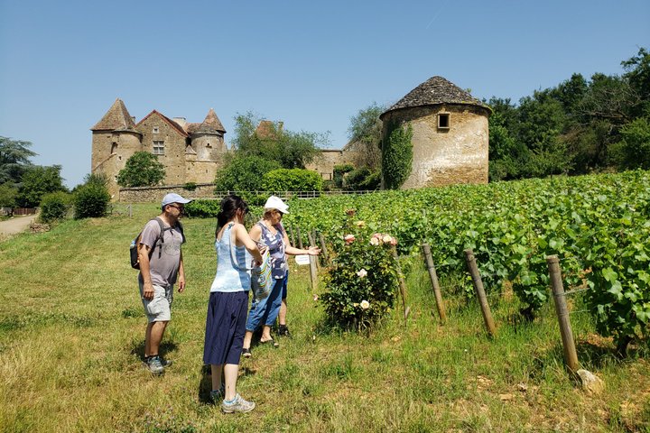 Private tour in Burgundy with your professional guide!