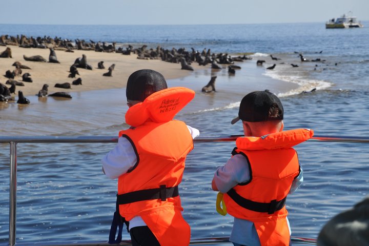 Marine Dolphin Seal Cruise