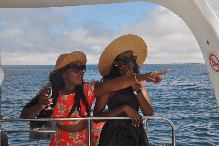 Marine Dolphin Seal Cruise