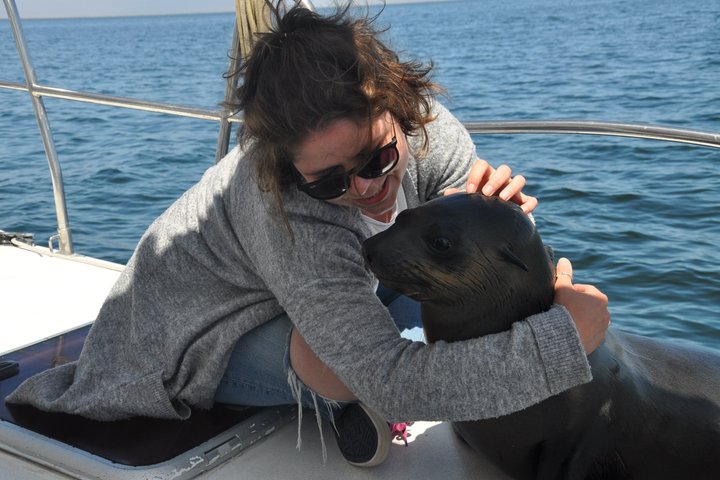 Marine Dolphin Seal Cruise