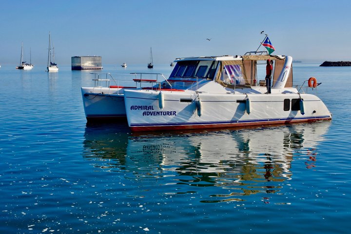 Marine Dolphin Seal Cruise