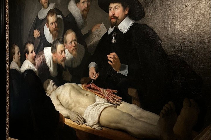 The Hague: Mauritshuis Private Tour with Art Historian