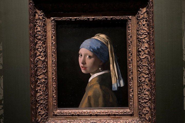 The Hague: Mauritshuis Private Tour with Art Historian