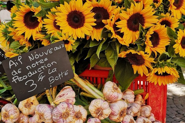Aix-en-Provence & Cassis - VIP Private Tour