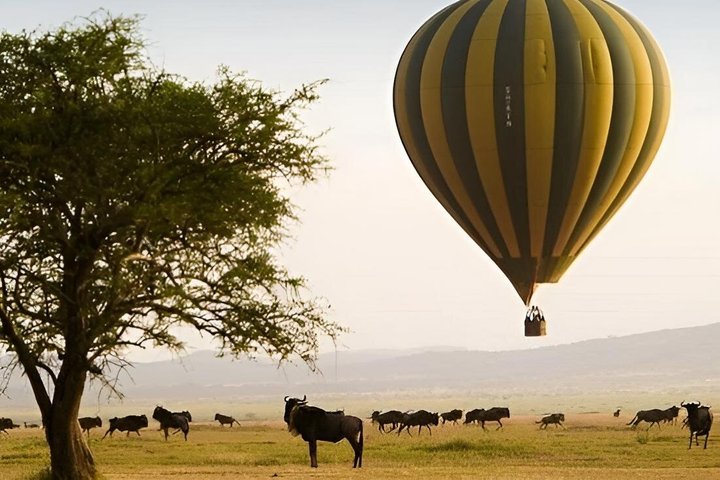 The ultimate Mara Balloon Experience