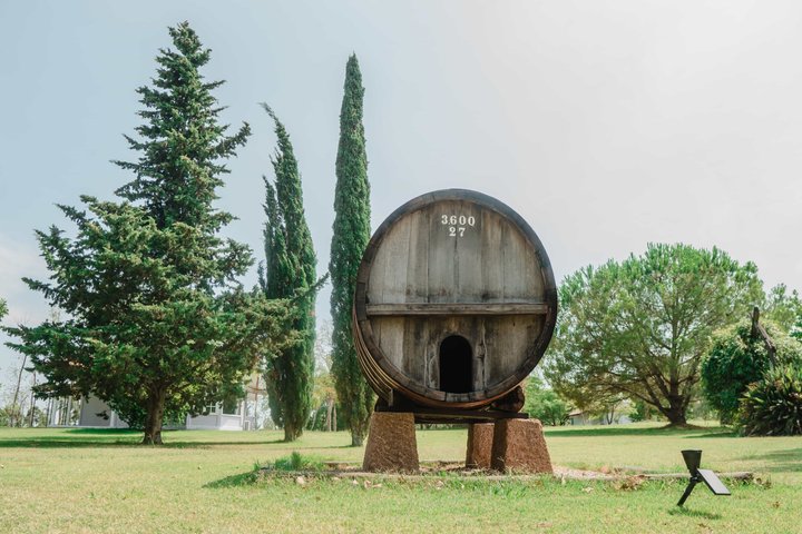 Wine Experience Tour Tasting and Tapas Gourmet