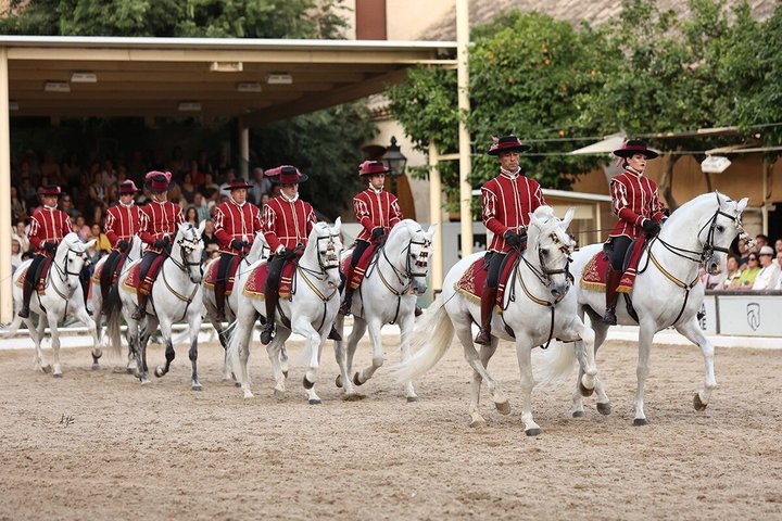 Equestrian Show Royal Stables of Córdoba