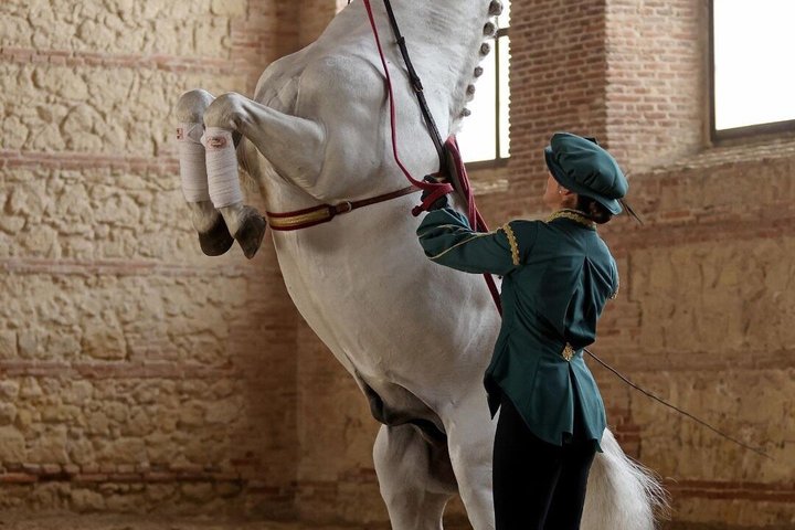 Equestrian Show Royal Stables of Córdoba