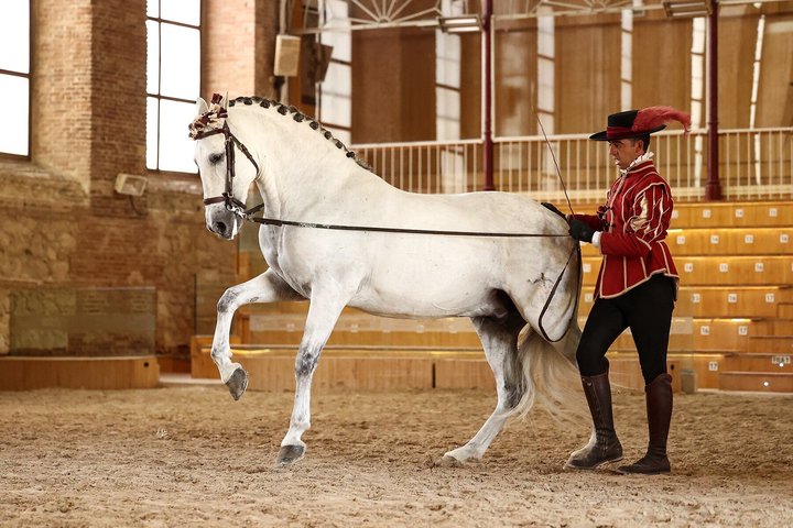 Equestrian Show Royal Stables of Córdoba