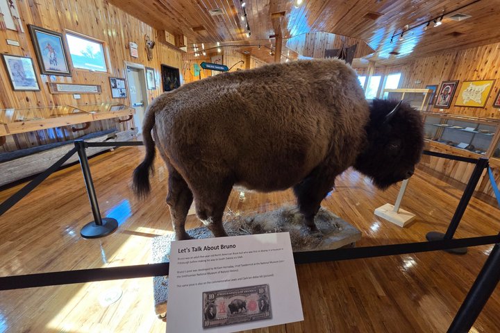 Mt Rushmore, Crazy Horse and Custer State Park Wildlife Loop Tour