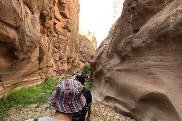 Mezquite Canon Hike