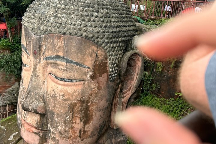 Chengdu: Panda Base Leshan Buddha Tour(or Half Day Panda Base )