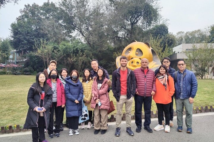 Chengdu: Panda Base Leshan Buddha Tour(or Half Day Panda Base )