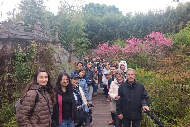 Chengdu: Panda Base Leshan Buddha Tour(or Half Day Panda Base )