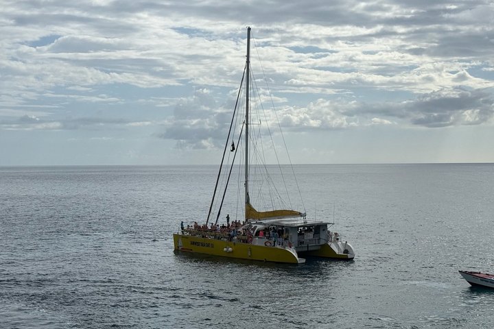 Bamboo Rafting, Catamaran Party Cruise and Ricks Cafe