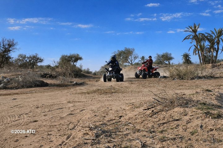 90min Quad Tour Djerba East Mezraya, Ghizen Sidi Mahrez