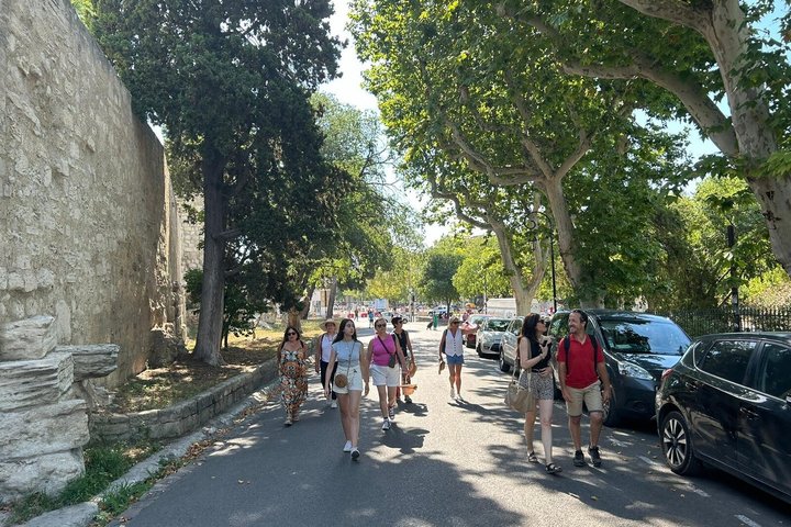 Private Guided Tour of Arles Roman Monuments and Van Gogh Trail