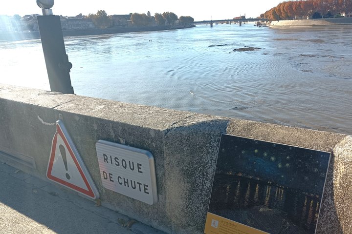 Private Guided Tour of Arles Roman Monuments and Van Gogh Trail
