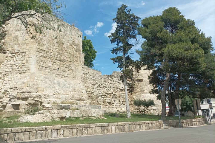 Private Guided Tour of Arles Roman Monuments and Van Gogh Trail