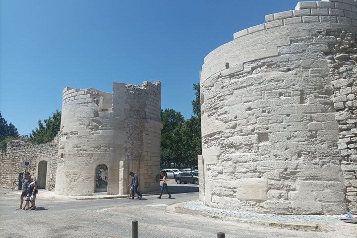 Private Guided Tour of Arles Roman Monuments and Van Gogh Trail