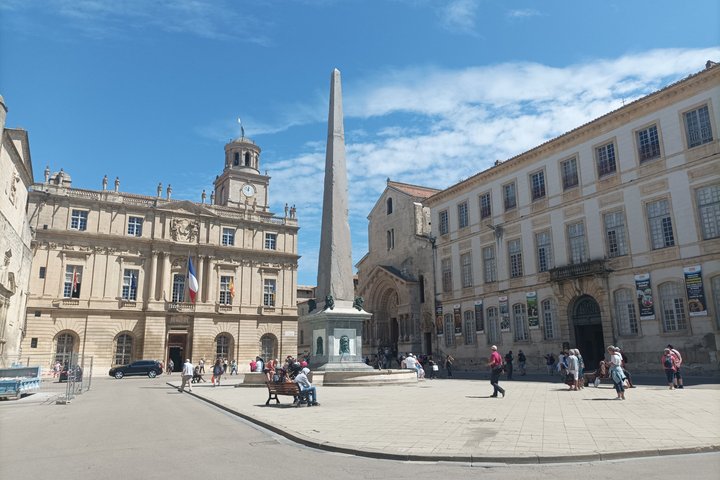 Private Guided Tour of Arles Roman Monuments and Van Gogh Trail