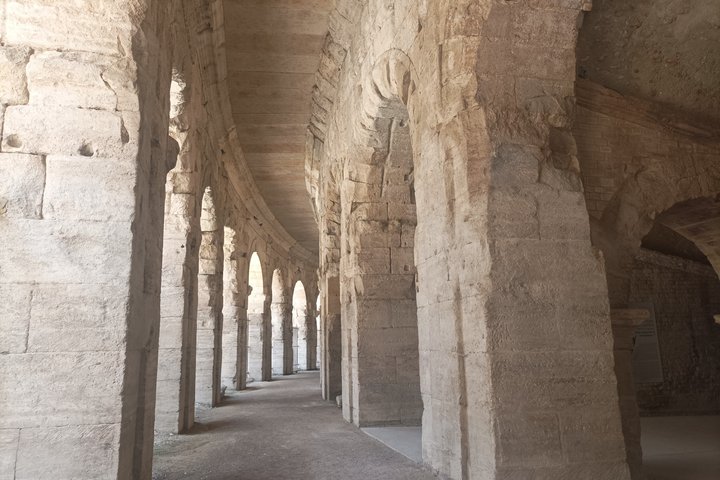 Private Guided Tour of Arles Roman Monuments and Van Gogh Trail
