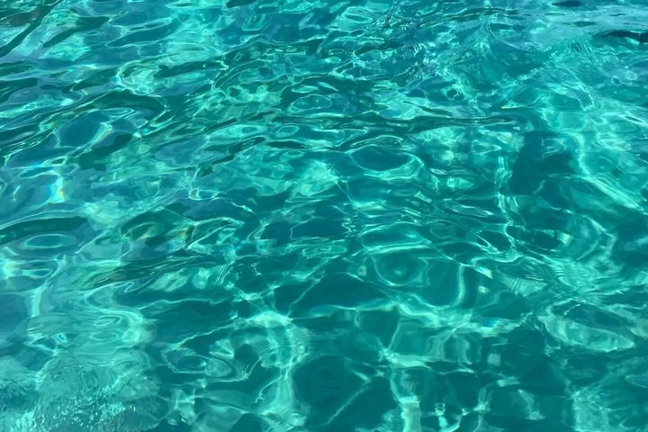 Boat excursion to Palmarola Island from Ponza