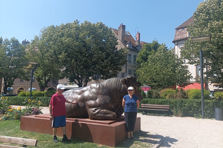 Guided tour of Beaune with your professional guide!