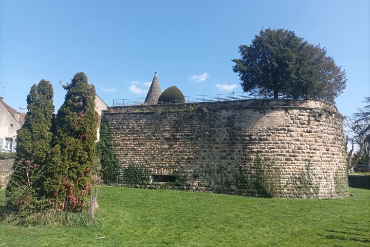 Guided tour of Beaune with your professional guide!