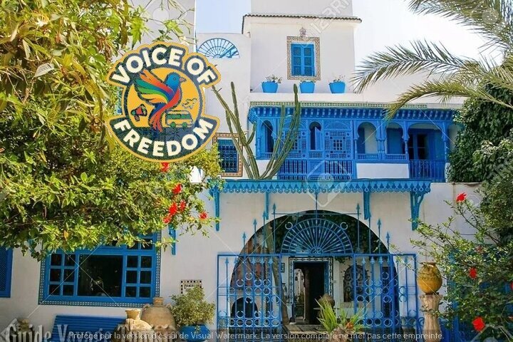 Private Day Trip: Carthage, Blue & White Sidi Bou Said & More