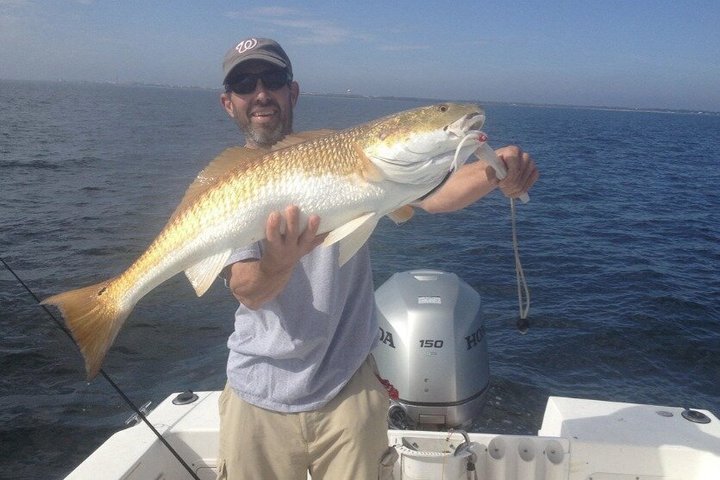 Pensacola Beach Deep Sea Fishing Charter – 5-Hour Gulf Adventure
