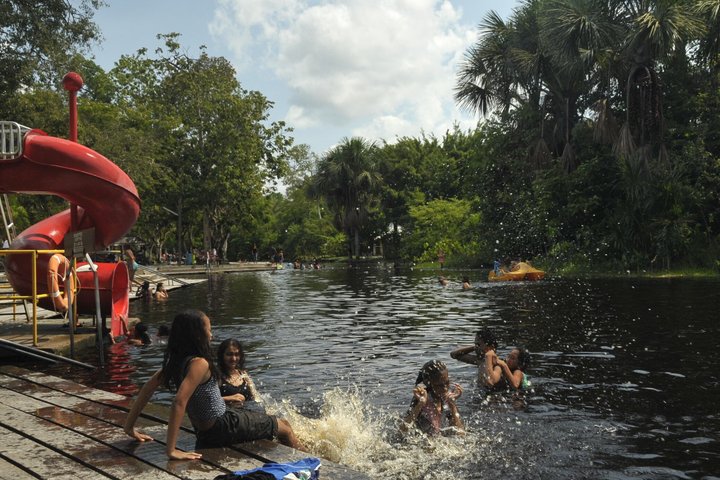 Para District Nature and Culture Day Tour from Paramaribo
