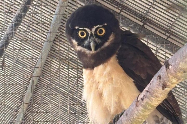 Para District Nature and Culture Day Tour from Paramaribo
