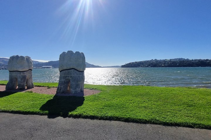 Dunedin City and Coastal Views 3-Hour Small-Group Guided Tour