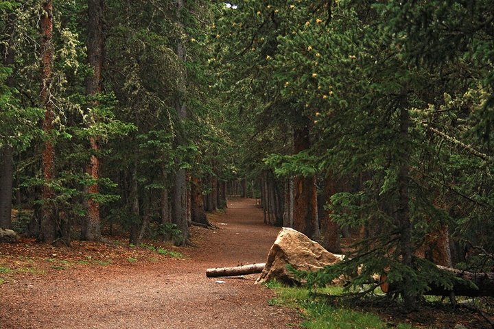 Rocky Mountain Escape - Scenic Views and Nature Walks