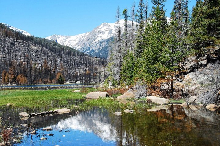 Discover Rocky Mountain National Park-Small Group Tour & Picnic