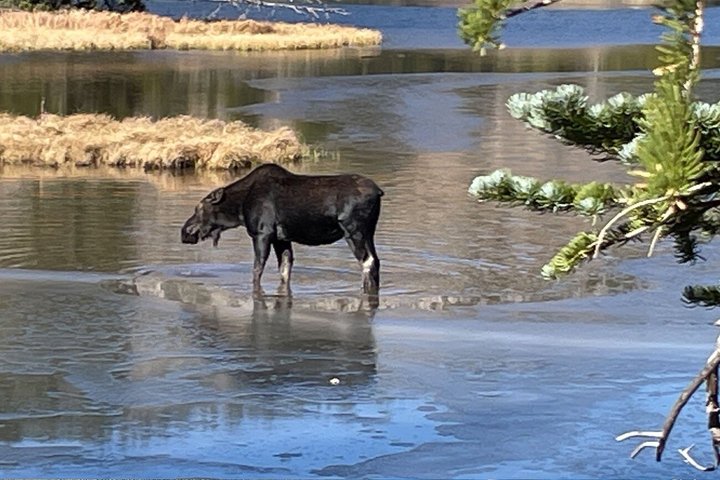 Discover Rocky Mountain National Park-Small Group Tour & Picnic