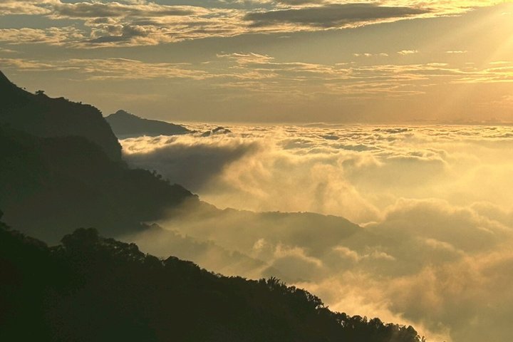 From Taichung/Kaohsiung/Chiayi:Alishan Hidden Gems Private Tour