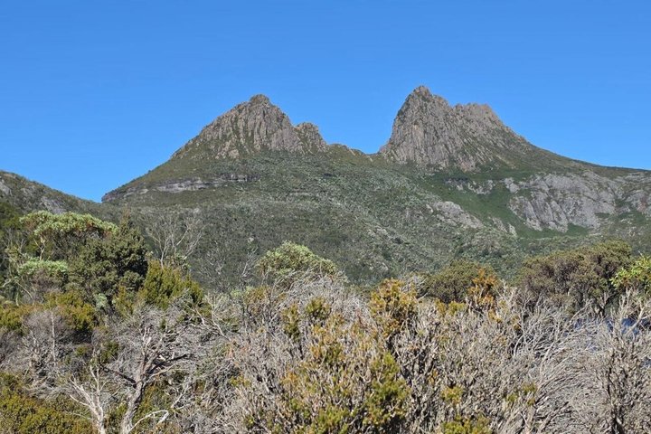 Cradle Mountain Day Tour from Launceston