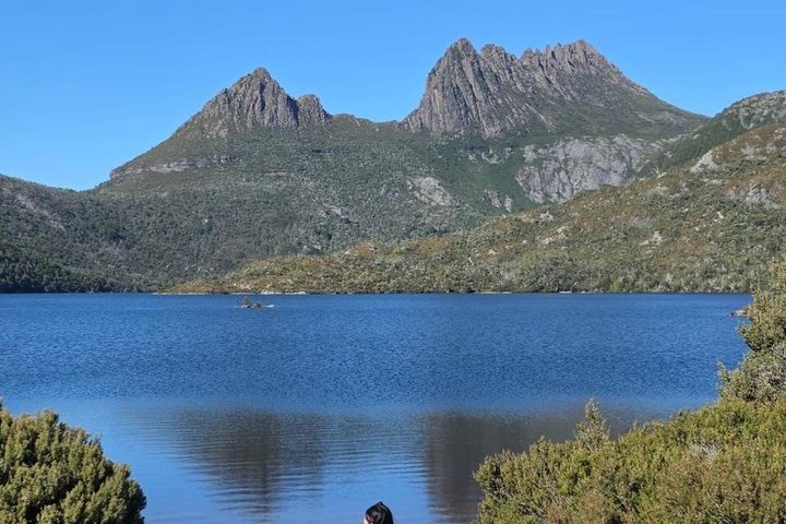 Cradle Mountain Day Tour from Launceston