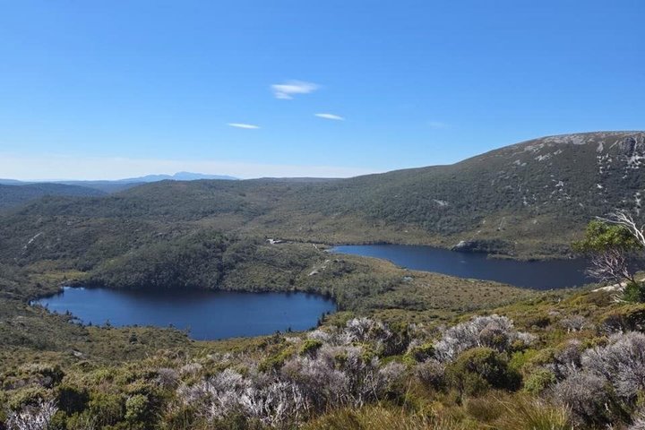 Cradle Mountain Day Tour from Launceston