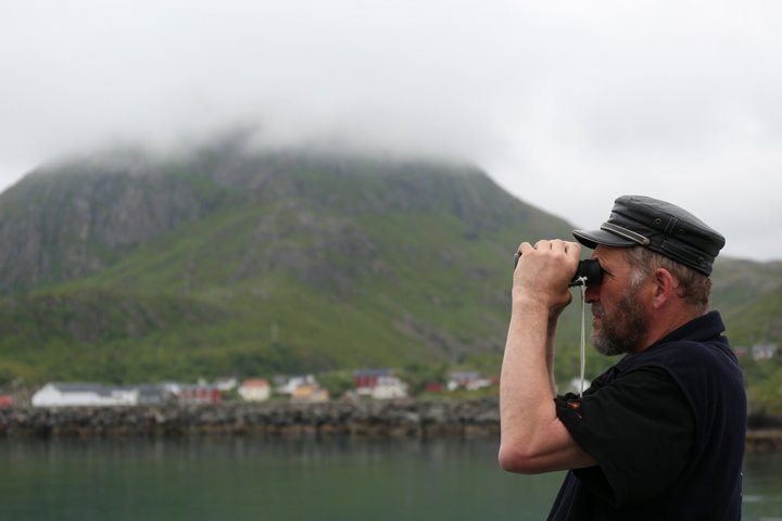 Stø Whale Watching Safari in Vesterålen with Puffins & Seals