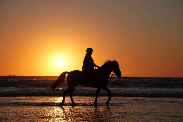 Horseback Riding in Essaouira - Essaouira HorseRiding