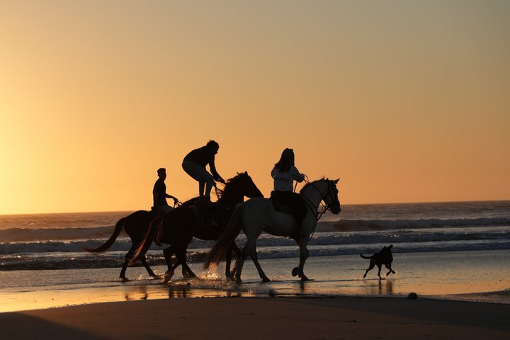 Horseback Riding in Essaouira - Essaouira HorseRiding