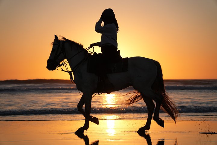 Horseback Riding in Essaouira - Essaouira HorseRiding