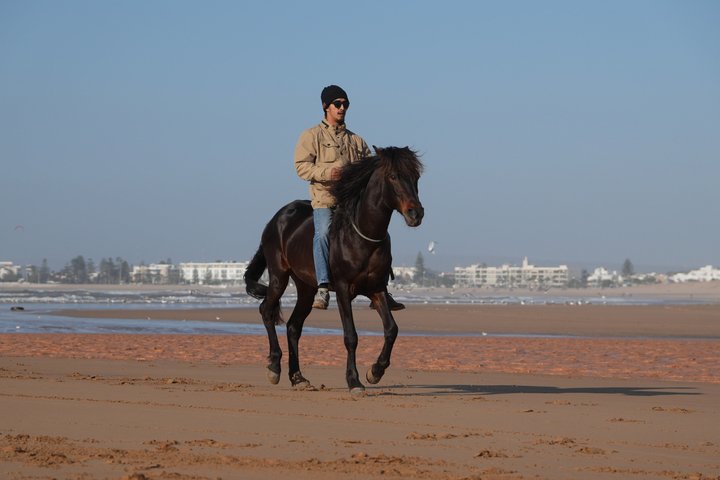 Horseback Riding in Essaouira - Essaouira HorseRiding