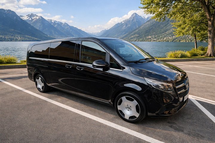 Lavaux UNESCO Vineyards and Tasting Private van from Montreux
