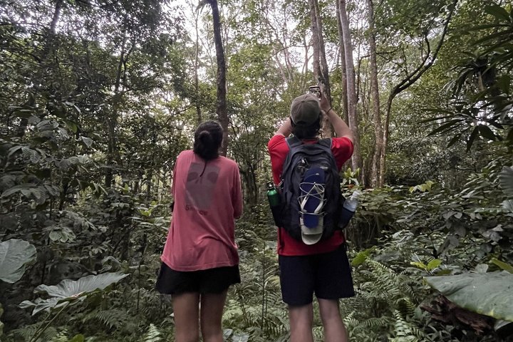 Tetebatu Private Trek Rice Fields Waterfall and Monkey Forest